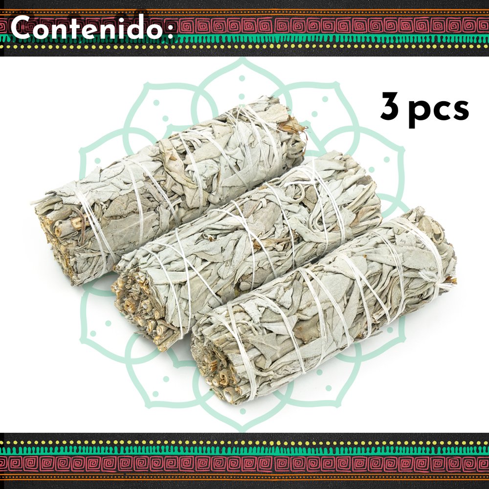 Más de 100 semillas perennes de hierbas orgánicas de salvia blanca: SALVIA  APIANA: muy rara e increíblemente medicinal Haz tu propio sabioG003 -   México